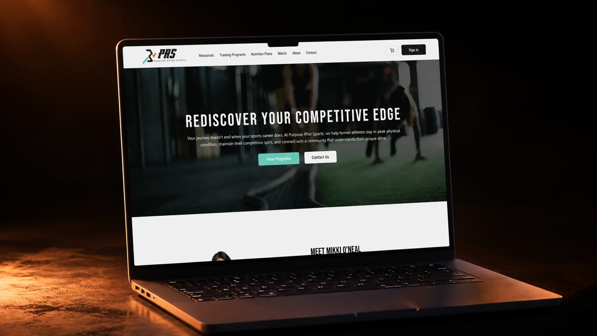 AyeZee Web Designs client work