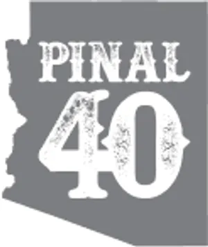 P40