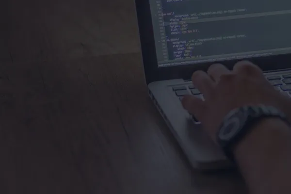 Web Development Service